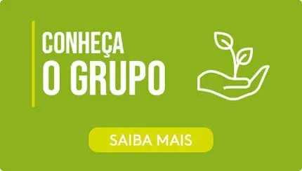 Conheça a Grupo Soul