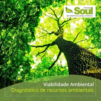 Imagem ilustrativa de Empresa de diagnóstico ambiental